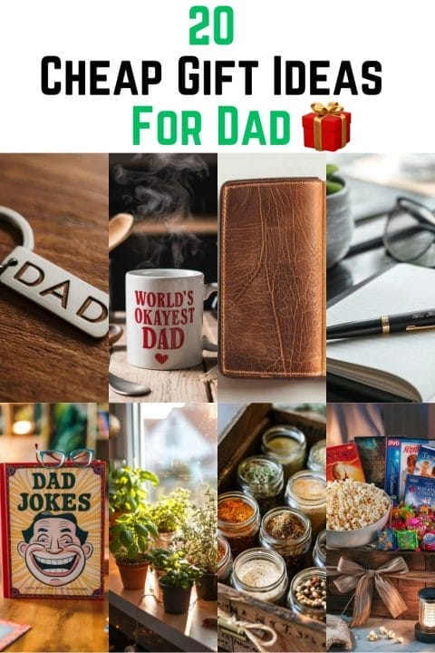 20 Cheap Gift Ideas For Dad Who Has Everything